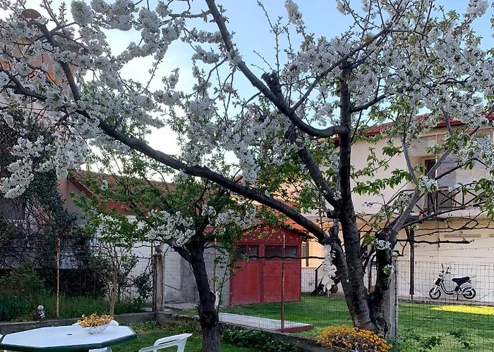 Villa Elena 5*****